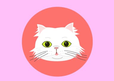 Designing Avatars for Cats